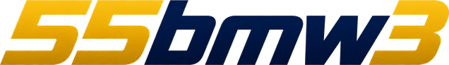 55bmw3 logo